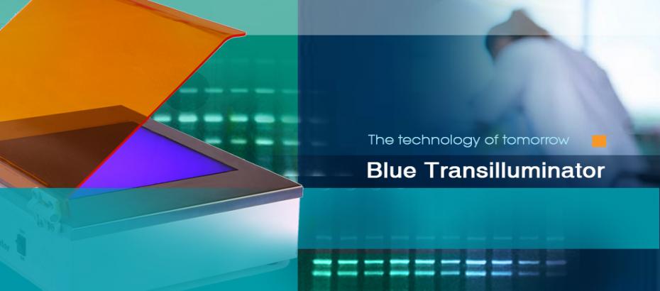 Blue transilluminator