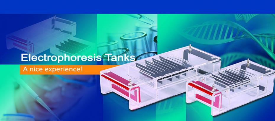 Horizontal Electrophoresis Tank