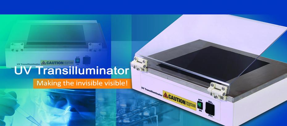 UV transilluminator
