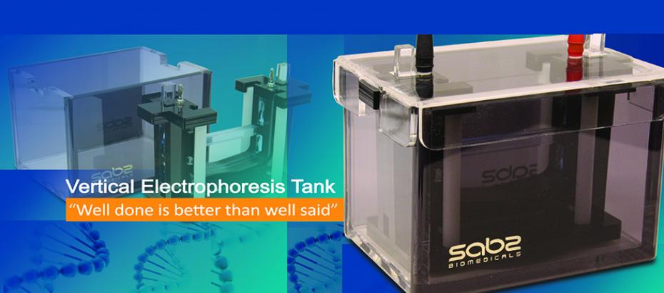 Vertical electrophoresis tank