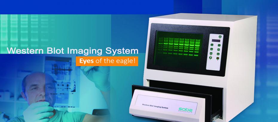 Western blot imaging system